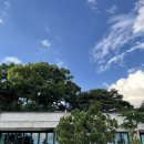 더대청호 이미지