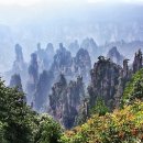 다드림푸드 이미지