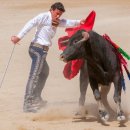 퀘렌시아 이미지