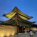 동양화(야간) | 서울 창경궁 야간개장 나들이(물빛연화 미디어아트쇼 관람)