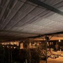 다희농장 이미지