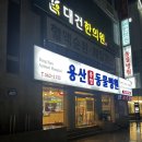 두류동물병원 | 대구 달서구 두류, 감삼 &lt;용산동물병원&gt;_고양이 결막염