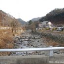 늘푸른계곡 이미지