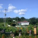 산방마을 농로 이미지