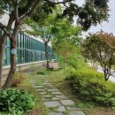 조선대학교여자중학교 이미지