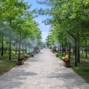 해도근린공원 이미지