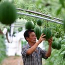 박병찬농장 이미지