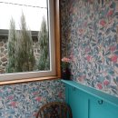 코코트리 | 제주 가족 독채 자쿠지 호텔 코코트리 블루코코 4인 솔직 후기