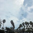 나래향 | 제주 짬뽕 맛집 다래향 세화점 낙지짬뽕·고기짬봉·차돌짬뽕 등