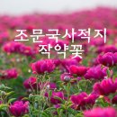 의성조문국사적지 이미지