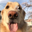 신원목욕탕 | 컴백이 아냐 떠난 적 없으니GGUM