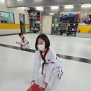 용인대 시선 태권도장 이미지