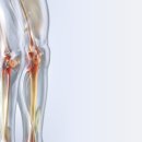 연세백퍼센트병원 이미지