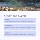 협동조합다락 | 인제 내린천 래프팅 초보자 가이드: 준비물부터 업체 추천까지