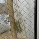 주간탁구 이미지