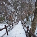 정읍 내장산(서래봉-불출봉)계단 3곳 이미지