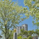 유당공원 내 비군 이미지