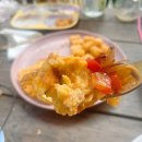 라플러쉬 이미지