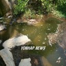 오수상회 연합뉴스