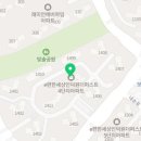 내손중앙로~내손로 Daum카페