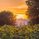 천지농장 이미지