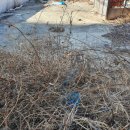 복산동-8 이미지