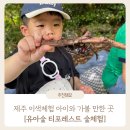 이니스프리함양점 | 제주 서쪽 여행 코스 추천 아이랑 가볼 만한 곳 제주도 숲 체험 : 유아숲 티포레스트 숲체험