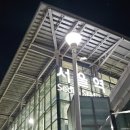 2025년 4월 다섯번째 일상 : 매일 11km 걸어본 세상?