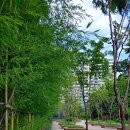 낫개작은도서관 이미지