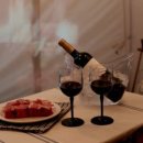 세이스테이 이미지