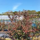 망상농장 이미지