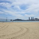 다인부동산공인중개사사무소 이미지