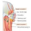 시목정형외과의원 | 4월 5일, 삼성메디슨 주관 근골격계 초음파 강의 연자로 참석했습니다. [덕천 시목정형외과]