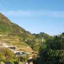 넓은바다집 이미지