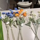 자유도매시장 이미지