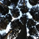 김재민농장 이미지