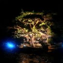 2023 청정완도 가을 섬여행 이미지