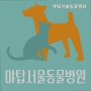 야탑서울동물병원