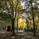 정세현농장 | <파리대왕> 온라인 독서모임 후기 (2)