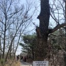 십리대밭교 화장실 이미지