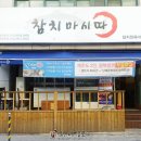 참치가마시따 이미지
