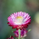 코아노래연습장 이미지