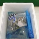 26일- 특대먹갈치, 안강망 大오징어, 특대붕장어, 활민어회, 7미특대전복, 추석선물세트, 선물보리굴비, 홍어회 이미지