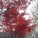 수산중학교 이미지