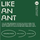 워킹앤츠