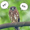 우각농장 네이버블로그