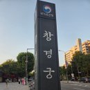 (야간)봄을 맞이하는 마크라메 | [서울 궁궐 산책] 창경궁 야간 관람 후기｜야진연 공연·무료 보관함·춘당지 야경까지- 왕비들의...