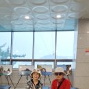삼척 장호항.임원항수로부인 이미지