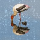 해수순두부 이미지