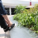 아이에스엠지ISMG 이미지